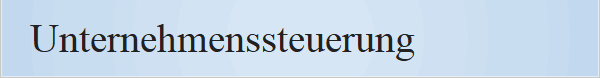 Unternehmenssteuerung